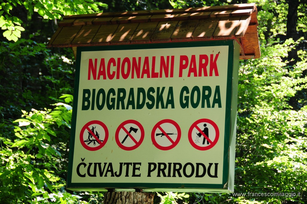 Parco Nazionale di Biogradska Gora433DSC_3261.JPG